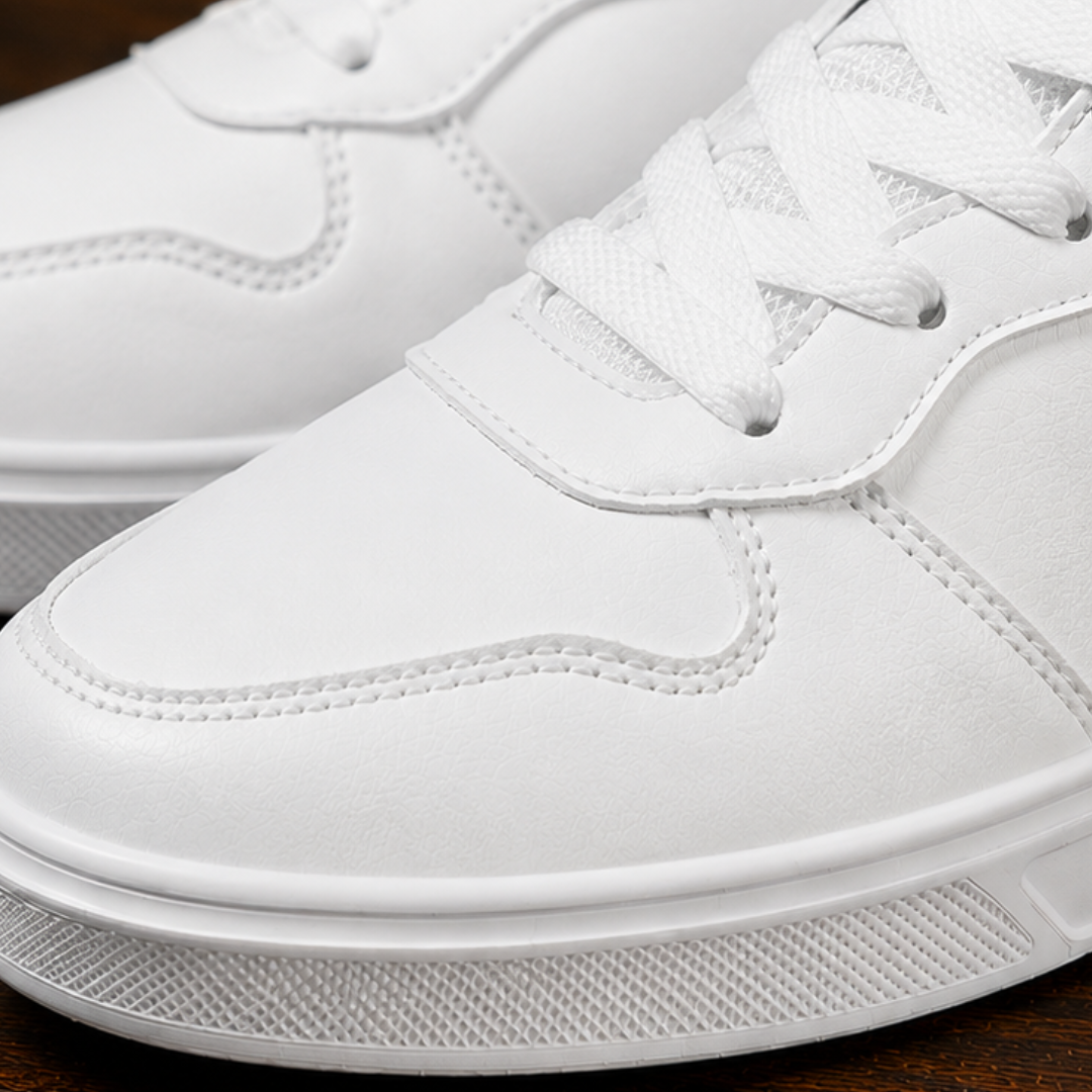 Modern Classic Sneakers
